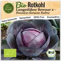 Rotkohl Samen (BIO) - 75 Samen Gemüsesamen Rotkohlsamen Langedijker Bewaar