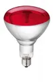 Hartglas 20 Stk. Infrarotlampe Philips Kerbl 22314 Infrarot Lampe rot 250 W