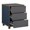 VCM my office Salia Rollcontainer anthrazit, honig-eiche 3 Auszüge 39,0 x 45,0 x 50,0 cm
