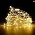 Lichterketten Batterie,5m 50LEDs Draht Lichterkette mit Batterie,Klein Innen Lic