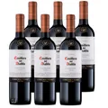6 x 75cl Casillero del Diablo Carmenere Concha Y Toro Chile 13,5 % vol