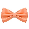 MASADA Herren Fliege Apricot Seidenlook, stufenlos verstellbar, handgefertigt, Hakenverschluss - 12 x 6 cm 100% Polyester