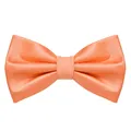 Herren Fliege Apricot Seidenlook, stufenlos verstellbar, handgefertigt, Haken...