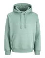 JACK & JONES Male Kapuzenpullover Logo Kapuzenpullover