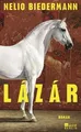 Lázár von Biedermann, Nelio | Buch | Zustand wie neu