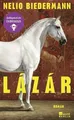 Lázár: „Der neue Zauberer … ein großartiges Werk.“ Buch Rowohlt Berlin