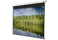 Celexon Economy Rolloleinwand (schwarze Rückseite)