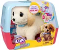 Moose Toys Little Live Pets Ouchies Puppy Cooper, Spielzeug-Hund, 5 Jahr(e), Interaktiv, Mit Ton, AA