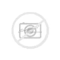 Lassa Competus H/P 3 XL Sommerreifen 235/55 R17 103V | 97758