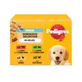 PEDIGREE DOGCARE Hundefutter Portionsbeutel Chunks in Gelee Junior 4 x 12 x 100g