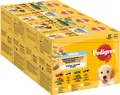 Pedigree DOGCARE Hundefutter Portionsbeutel Chunks in Gelee Junior 4 x 12 x 100g