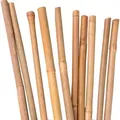 UNUS Bambusstäbe 25 Stück, Rankstäbe, Pflanzenstäbe Bambus 120cm naturfarbend - Braun