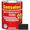 Consolan Wetterschutzfarbe Schwarz 2,5 Ltr