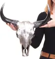 Deko Schädel 45cm HWC-T454, Polyresin Stier Bulle Longhorn Kopf Trophäe, In-/Outdoor  silberfarben