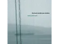 Thalia Band Zedek - The Boat Outside Your Window - (Vinyl)