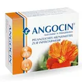 ANGOCIN Anti-Infekt N - pflanzliches Arzneimittel zur Infektabwehr - bei Erkältungskrankheiten und Blasenentzündungen - 1 x 100 Filmtabletten