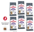 ROYAL CANIN Appetite Control Trockenfutter Katzen mit Präbiotika 6x400 g