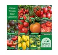 Nojus - Tomaten Samen Set – 10 Sorten – Verschiedene Tomatensamen Starter Kit - 10 Packen – Garten Samen Pflanzen Saatgut – Samen Gemüse Box 10 Sorten – Saatgut Box – Saat/Seeds