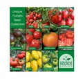 Nojus  Tomaten Samen Set – 10 Sorten – Verschiedene Tomatensamen Starter Kit ...