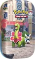 Pokémon-Sammelkartenspiel: Mini-Tin-Box Illumina City: Meganie & Psiaugon (2 Boosterpacks, 1 Bildkarte und 1 Stickerbogen)