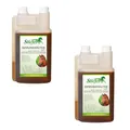 Stiefel Immunkräutersaft | Doppelpack | 2 × 1 l | Ergänzungsfuttermittel für Pferde | Natürliche Kräutermischung