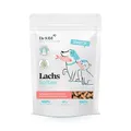 Dr. SAM Premium Snacks für Katzen - Lachs Softies mit frischem Lachs und Kartoffeln - Getreidefreie & softe Katzenleckerlis für Sensible Katzen - Monoprotein Snacks - Treat for Cats - 120g