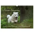 Kleine Samojeden - Eisbärchen Abenteuer im Märchenwald (Wandkalender 2025 DIN A3 quer) CALVENDO Monatskalender von Claudia Pelzer / www.Pelzer-Photogr