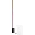 Philips Hue Gradient Signe White & Color Stehleuchte Schwarz + Dimmer