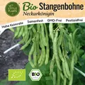 Stangenbohne Samen (BIO) - 25 Samen Gemüsesamen Bohnensamen Neckarkönigin