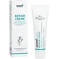 GEHWOL FUSSKRAFT Repair Creme 125ml