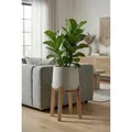 finestgreen Pflanzkübel Patt Feet High, Frostfest & UV-beständig – für Innen- und Außenbereich grau Ø 43.5 cm x 65.0 cm