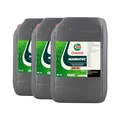 CASTROL Magnatec 0W-30 D PKW-Motorenöl ACEA C2, 3x20 Liter