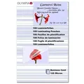 - 100 - lamination film