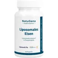 LIPOSOMALES Eisen+Vitamin C vegan Kapseln 60 St. PZN 19479761