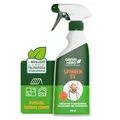 Green Hero Spinnen-Ex Spray zur Spinnenbekämpfung 500ml, Fernhaltemittel gegen Spinnen, Vertreibungsmittel, Innen und Außen, langfristige Spinnenabwehr,