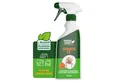 GreenHero Vergrämungsmittel Spinnen-Ex Spray zur Spinnenbekämpfung, 500 ml