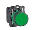 Schneider Druckknopf XB5AA31 XB5 - 1NO, Spülen, 10 A, 600 V, Federrückzug, Grün