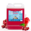 Belissia Slush Eis Sirup 5L Konzentrat - Kirsche - für Slush-Eis & Wasserei