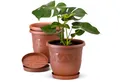 Plastard Pflanzkübel 3er, 5er, 10er Sets, Blumentopf mit passenden Untersetzer 15 - 40 cm (3 St., Blumenkübel ist Witterungs-, frost- und UV-beständig)