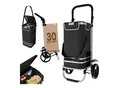 24MOVE® Einkaufstrolley VEHLO 3in1 Trolley faltbarer Einkaufswagen mit Kühlfach, schwarz