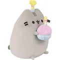 Aurora, Pusheen - Birthday Party Pusheen, ca 24 cm - Grau
