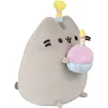 Pusheen Plüschtier 23 cm mit Kuchen Aurora DAFFI P 232 (24 cm) (P-232)