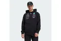 adidas Performance Hoodie MERCEDES - AMG PETRONAS FORMULA ONE TEAM HOODIE (1-tlg)