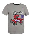 Mitchell & Ness NBA Toronto Raptors Name & Number T-Shirt - Vince Carter, Grey Heather, S