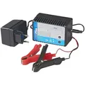 Batterietrainer 12v
