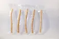 5x Miswak - Siwak - Meswak - Misvak - Sewak Stick - Holzzahnbürste Zahnputzholz vegane Zahnhölzer vom Zahnbürstenbaum Salvadora Persica vakuumverpackt für saubere Zähne Toothbrush (5)