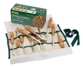 Record Power Ltd. Carving by numbers - Schnitzwerkzeug Sortiment incl. Kurs RPCV12A