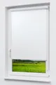 Lysel Outlet - Kassettenrollo Tageslicht Reinweiß, (B x H) 110cm x 175cm in weiß/reinweiß