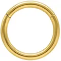 Wildcat Nasenpiercing Hinged Ring für Ohr, Lippe, Nase, Bauchnabel, 1 Stück, Titan Grad 23 - wasserfest, hautverträglich, Gold goldfarben Stärke: 1,6mm-Durchmesser: 8,0mm