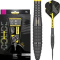 Target - Swiss Point - Bolide Void 05 - Steeldart